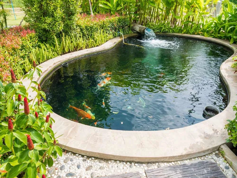 Modern Decorative Floating ponds